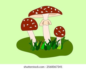 Three amanita mushrooms in the grass. With red hats.