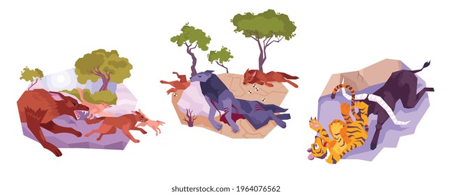 Three animals icon set with running wolves defeated wolves and a tiger vector illustration