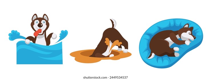 Three animated husky dogs in playful poses, vector illustration, isolated on white background.