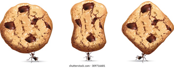 Three ant lifting cookies.vector