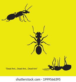 three ants: top view, side view, dead view. illustration vector.