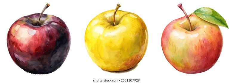 Três maçãs de cores diferentes são mostradas em uma pintura. As maçãs são vermelhas, amarelas e verdes
