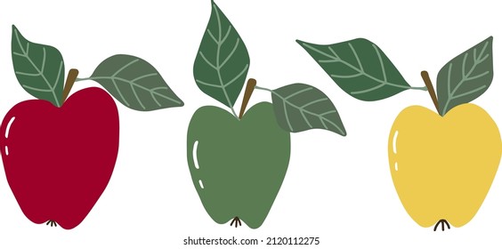 Tres manzanas, rojas, verdes y amarillas, aisladas en un fondo blanco. Ilustración vectorial, dibujada a mano.