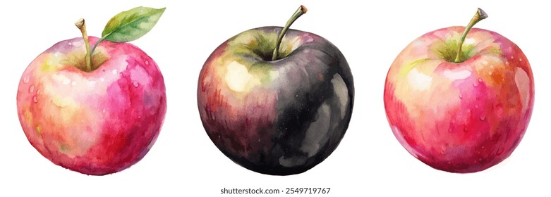 Three apples are shown in a painting, with one being red and the other two being black. The painting has a vibrant and colorful feel to it, with the apples being the main focus