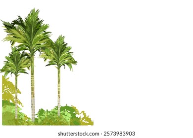 three areca palm trees in the forest bushes with no background