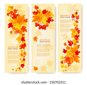 Three autumn backgrounds with colorful leaves. Back to school. Vector illustration