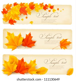 Three autumn banners with colorful leaves. Vector.