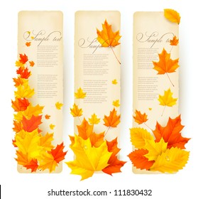 Three autumn banners with colorful leaves  Vector