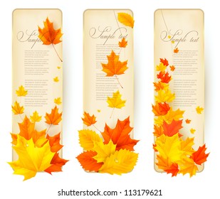 Three autumn banners with colorful leaves in golden frames. Vector.