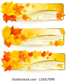 Three autumn banners with colorful leaves in golden frames. Vector illustration.