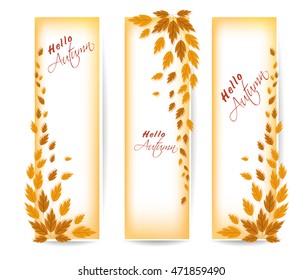 Three autumn banners with colorful leaves Vector
