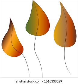Three autumn colored leaves fallen from a tree on a thin stalk.