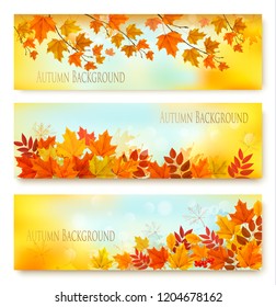 Three Autumn Nature Banners With Colorful Leaves. Layered Vector