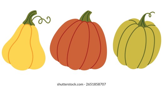 Drei Herbstgemüse mit Kürbis und Kürbis auf weißem Hintergrund. Herbsternte-Illustration
