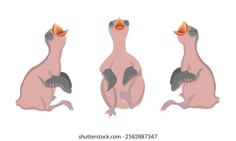 Three baby birds waiting for food with open beak