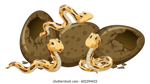 Three baby snakes and eggs illustration
