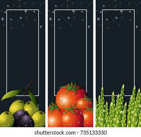 Tres plantillas de fondo con ilustración de hortalizas frescas