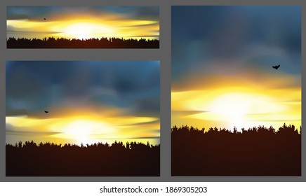 Three backgrounds different sizes.  Sunset in pine tree forest. Flying owl.