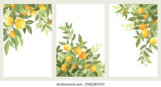 Three backgrounds with orange branches. Hand drawn, vector illustration in watercolor style, poster or card with citrus fruits.