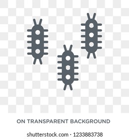 Three Bacteria icon. Trendy flat vector Three Bacteria icon on transparent background from Human Body Parts collection. 