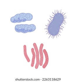 Three bacteria and virus. Biology micro organisms