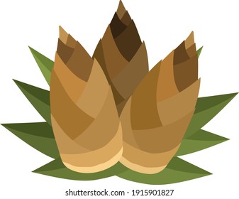 Three bamboo shoots isolated vector illustration.