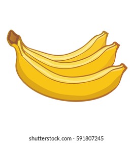 three banana fruits isolated on white background. vector illustration, part of collection