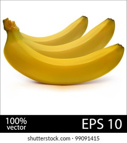 Three bananas in batch. Photo-realistic vector illustration