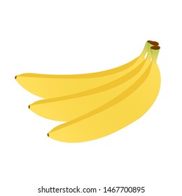 Three bananas isolated on white background. Realistic vector illustration