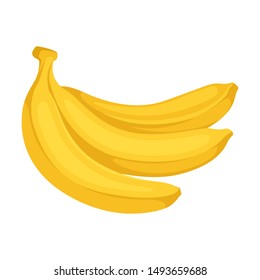 Three bananas in a peel. Vector illustration on a white background.