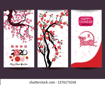 three banner for chinese new year 2020 year of the rat flowers and asian elements . ( Chinese Translation : Rat)

