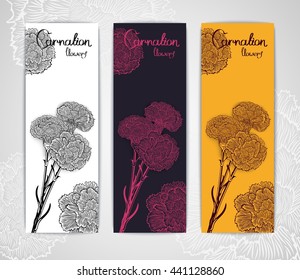 Three banner template with bouquet of carnations in engraving style. Vector illustration. Stylized design for flyer, banner and other decoration