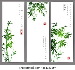 Three banners with green bamboo trees. Vector illustration. Traditional Japanese ink painting sumi-e. Contains hieroglyphs - eternity, freedom, happiness