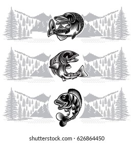 Three banners with salmon, pike, perch fish bend silhouette with wild landscape in engraving style. Logo for fishing, championship and sport club or label on white