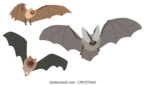 
Three bats of different colors. Vector illustration