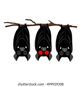 Three bats hanging on the branch. Vector illustration for Halloween.