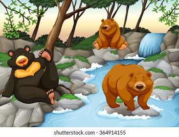 Three bears living by the waterfall illustration