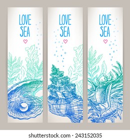 three beautiful banners with a variety of shells and seaweeds