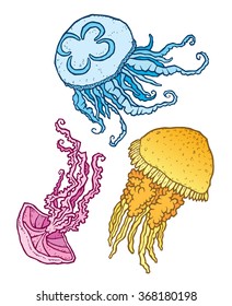 Three beautiful decorative different jellyfish