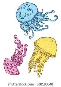 Three beautiful decorative different jellyfish