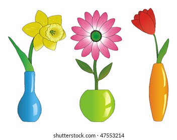 Three beautiful flowers in colorful vases vector