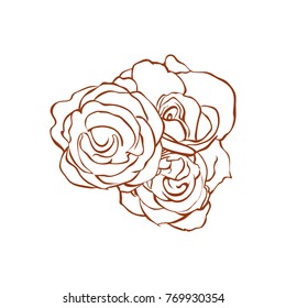 Three beautiful line art roses 