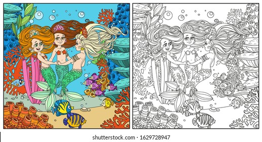 Three beautiful mermaid girls swirl in dance surrounded by fish. Underwater world with corals and anemones.  Background color and outlined.