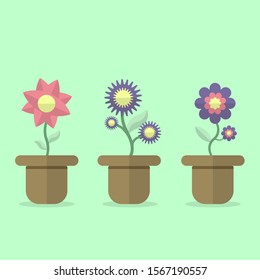 Three beautiful pink and purple flowers growth on clay pot with leaves on green background. 