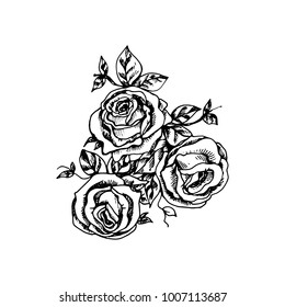 The three beautiful roses painted with love a black gel pen on white background