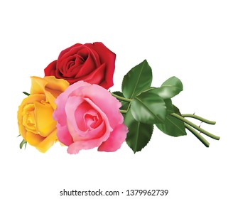 Three beautiful roses, pink, red and yellow, isolated on white background.