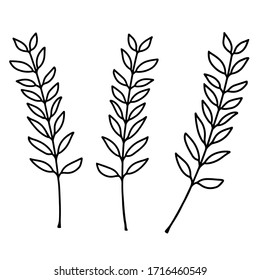 Tres bellas ramas delgadas con hojas sobre un fondo blanco. Ilustración vectorial en blanco y negro de las ramitas de cierre. Objetos aislados para tu diseño.