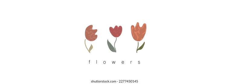 Three beautiful tulips in different colors on a white background.
