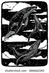 Three beautiful whale floating in the starry sky. Hand drawn vector illustration in monochrome colors. Abstract graphic drawing isolated on white. Element for design print, poster, typography, decor.