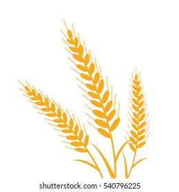 A three beautiful Wheat illustration isolated in a white background